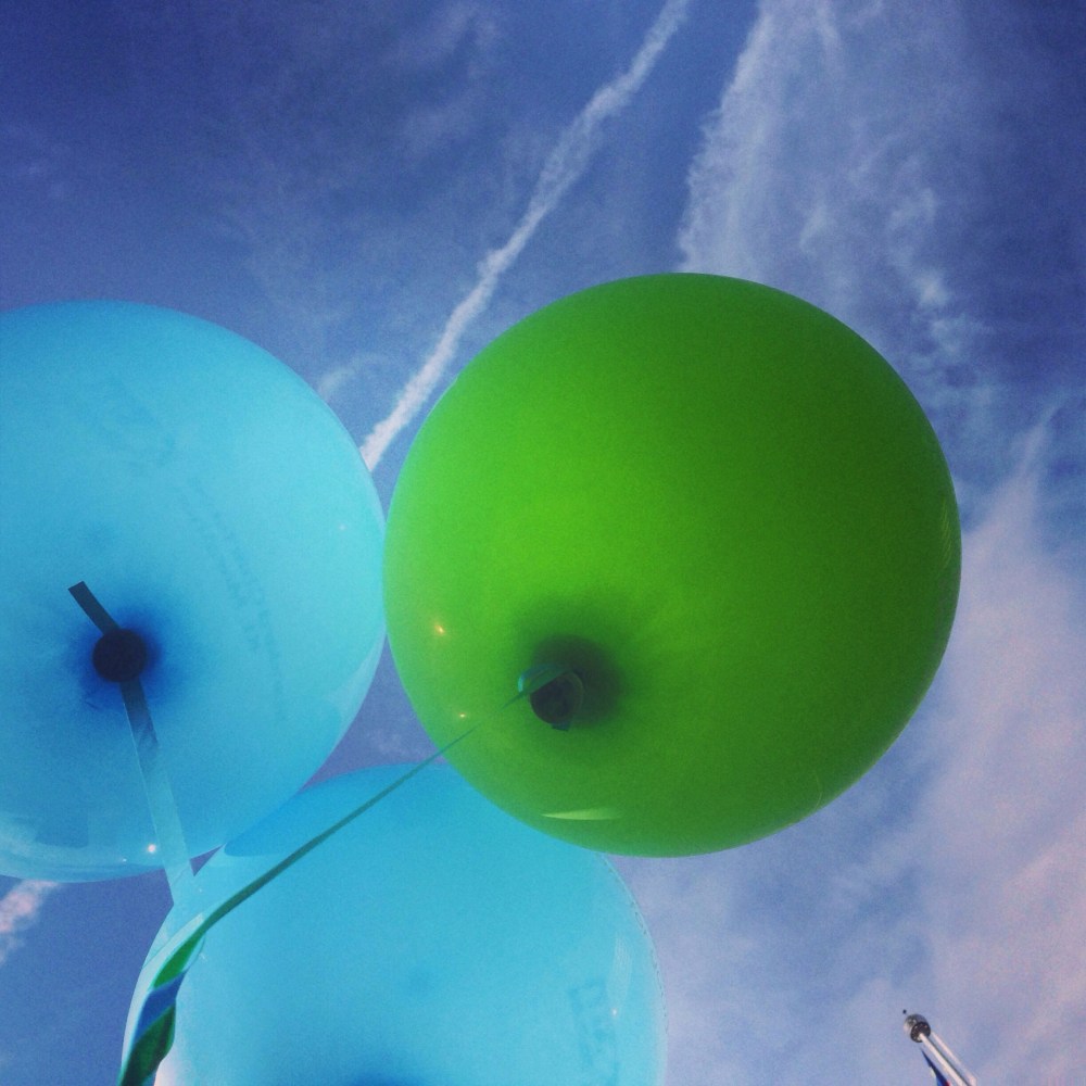 20130930-090830 am.jpg