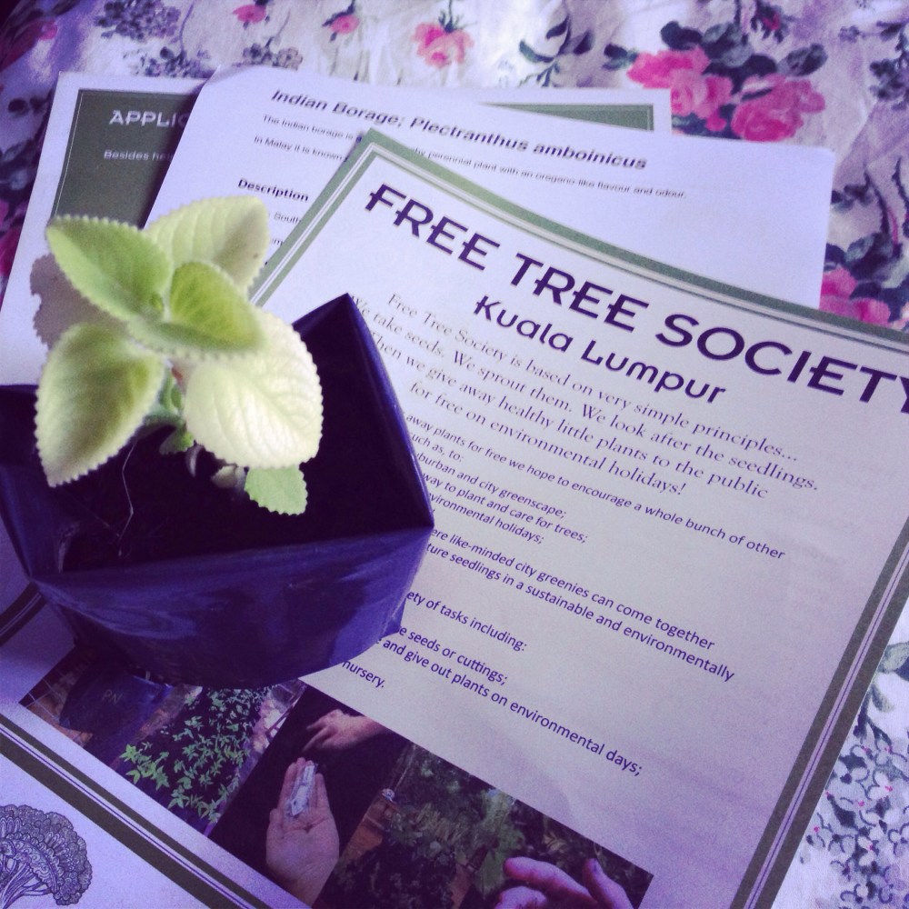 20131006-123135 am.jpg