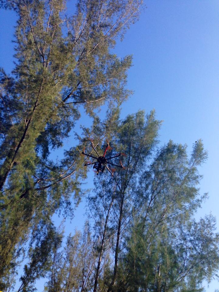 1911648_10151948871906965_1381507143_n