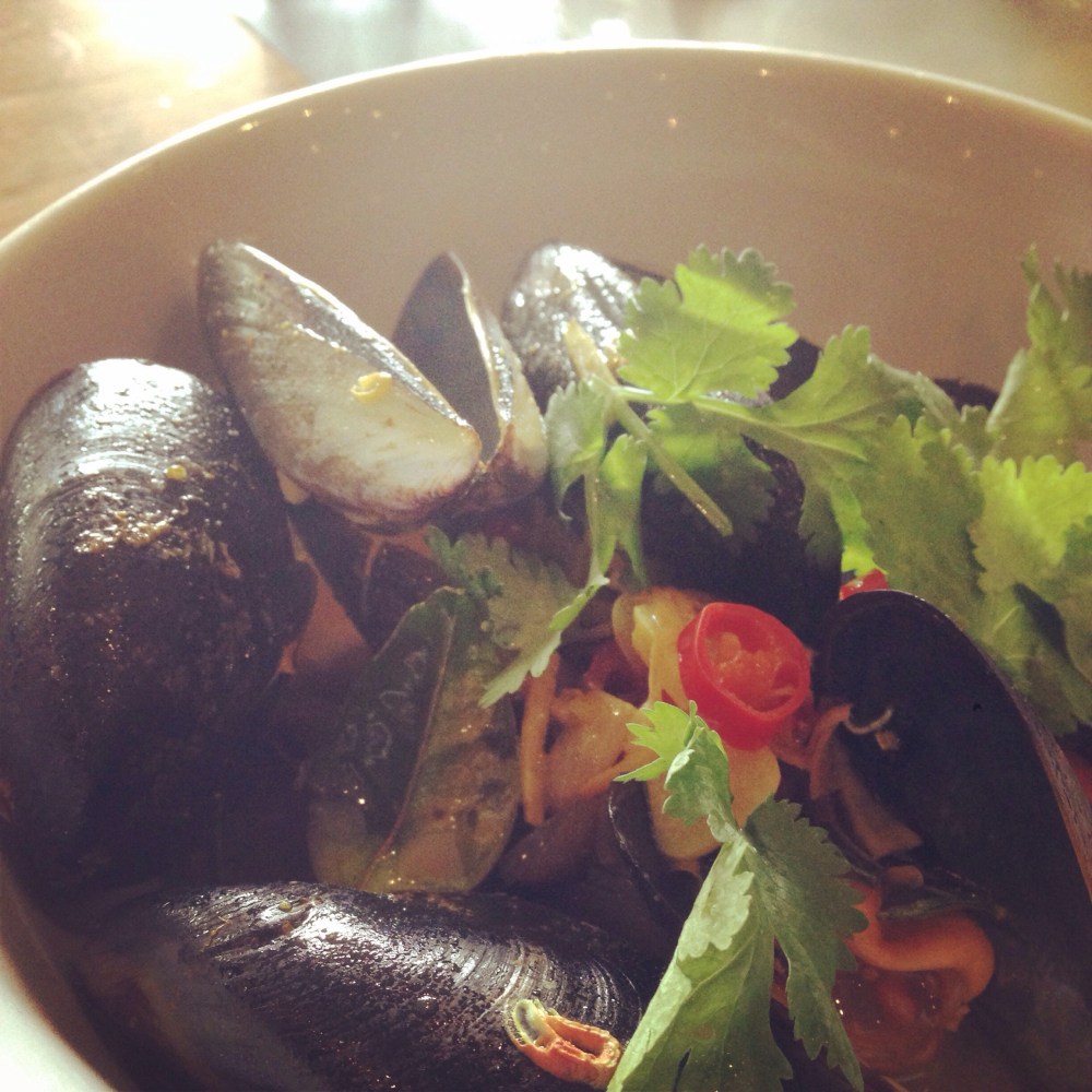 20140418-090557 pm.jpg