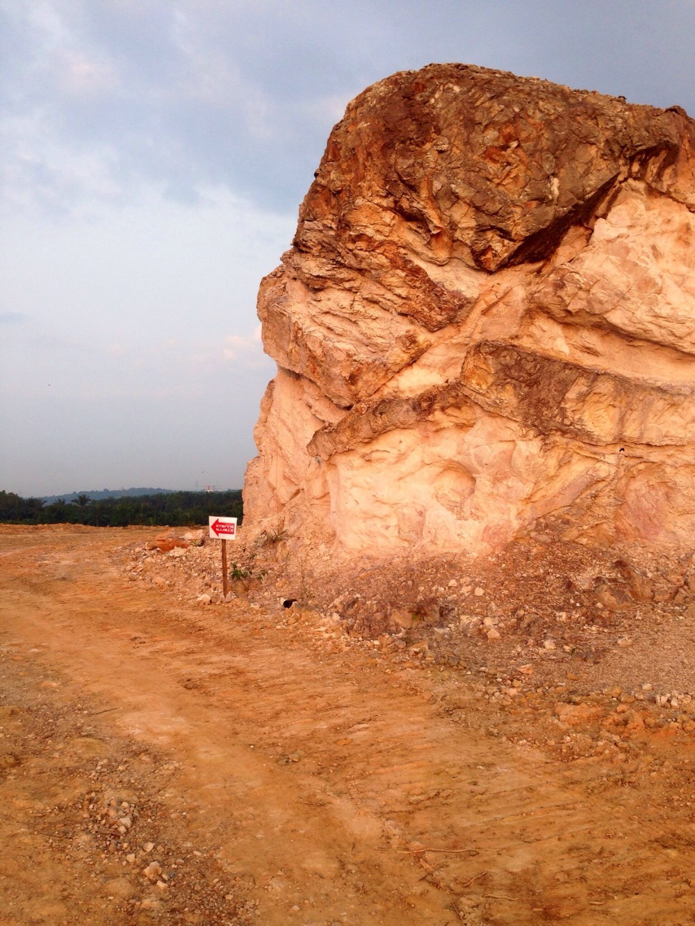 20140504-083744 pm.jpg