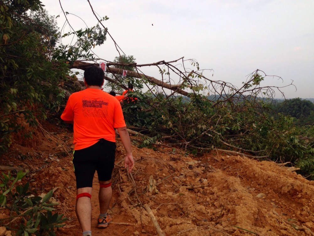 20140504-084126 pm.jpg