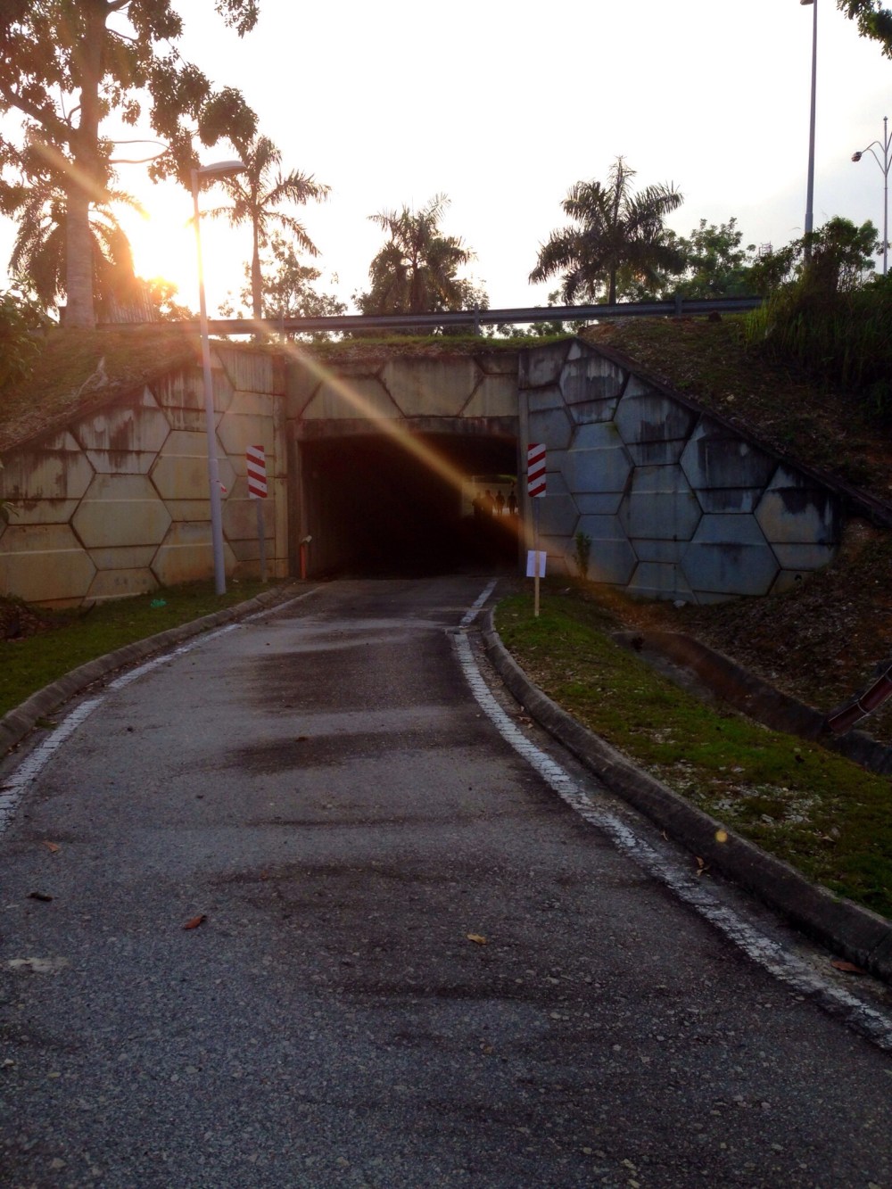 20140504-085703 pm.jpg