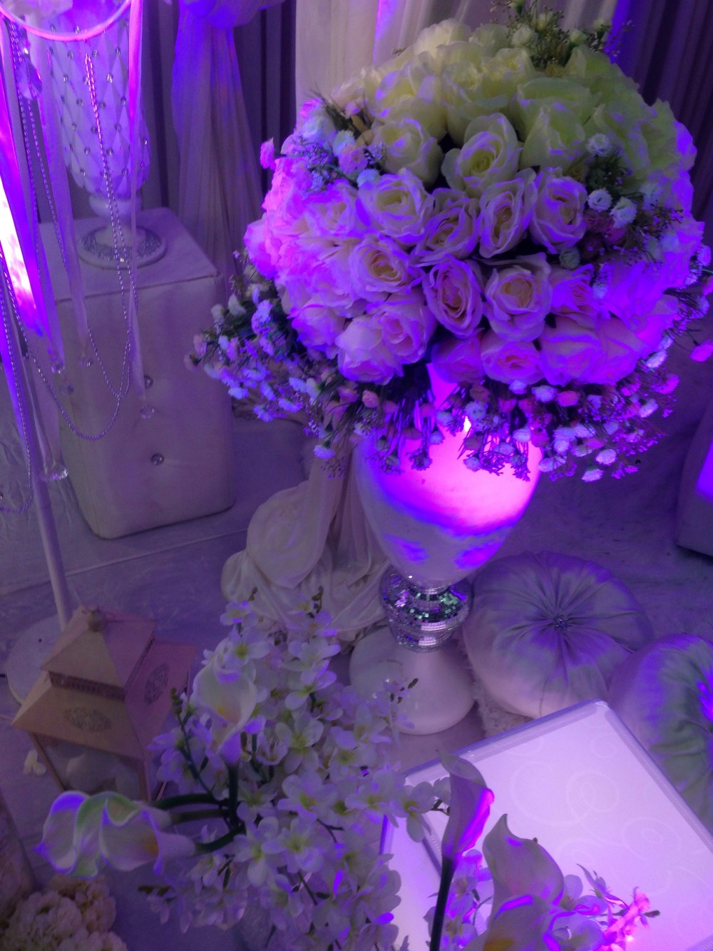 20140522-110151 pm.jpg