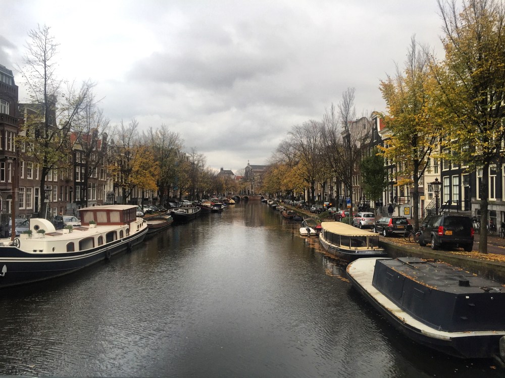 22407013237_29e30e45c8_o