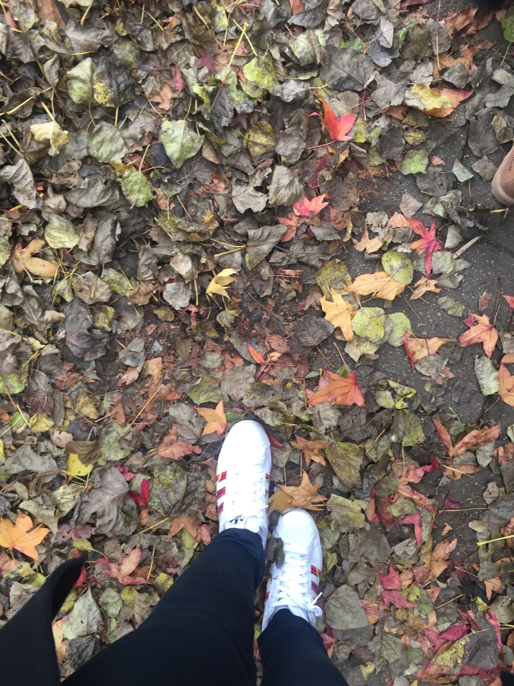 22407924847_ede3e6e92d_o